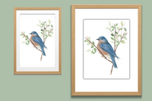 Load image into Gallery viewer, Blue Bird Watercolor Print. Wall Art Print