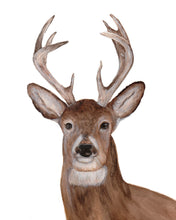 Load image into Gallery viewer, Deer-Buck Watercolor Print