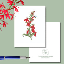 Load image into Gallery viewer, Cardinal Flower, Native Flower Watercolor Note Cards
