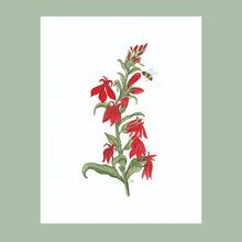 Load image into Gallery viewer, Cardinal Flower Watercolor Print. Wall Art Print
