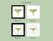 Load image into Gallery viewer, Framed Watercolor Pollinators Art