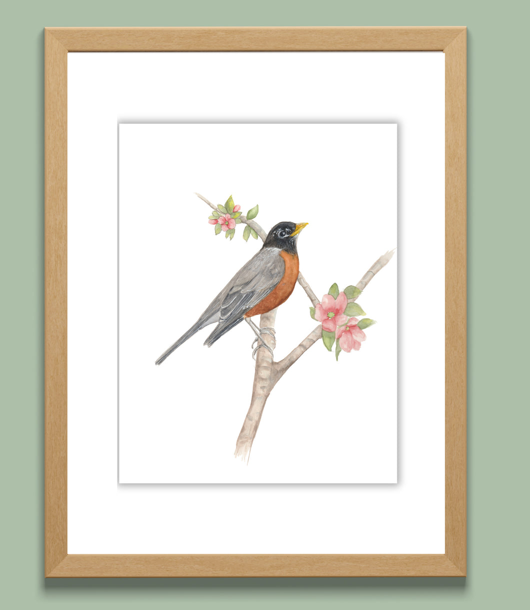 Robin with Apple Blossom Watercolor Print