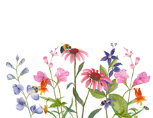 Load image into Gallery viewer, Greeting Card, 5 x7 Personalized native flowers with envelopes, FREE SHIPPING