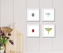 Load image into Gallery viewer, Framed Watercolor Pollinators Art
