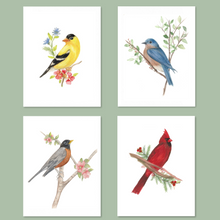 Load image into Gallery viewer, Bird Note Card Assortment, 4.25" x 5.5" with envelopes