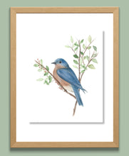 Load image into Gallery viewer, Blue Bird Watercolor Print. Wall Art Print