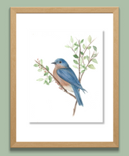 Load image into Gallery viewer, Blue Bird 24 Watercolor Print