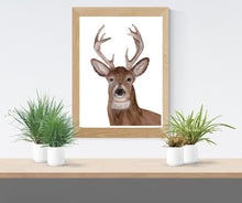 Load image into Gallery viewer, Deer-Buck Watercolor Print