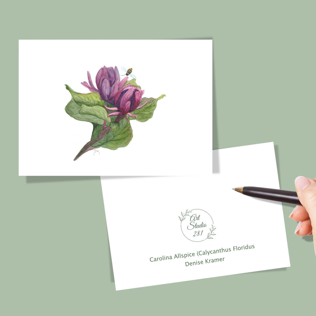 Carolina Allspice-Calycanthus floridus, Native Flower Watercolor Note Card Set