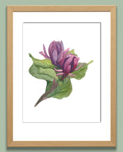 Load image into Gallery viewer, Carolina Spicebush Watercolor Print. Wall Art Print