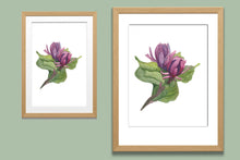 Load image into Gallery viewer, Carolina Spicebush Watercolor Print. Wall Art Print
