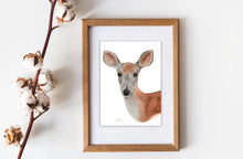 Load image into Gallery viewer, Doe Watercolor Print