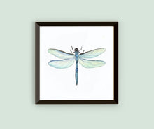 Load image into Gallery viewer, Framed Watercolor Pollinators Art