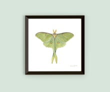 Load image into Gallery viewer, Framed Watercolor Pollinators Art