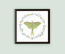 Load image into Gallery viewer, Framed Watercolor Pollinators Art
