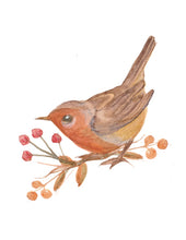 Load image into Gallery viewer, Wren Note Card Set