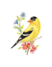 Load image into Gallery viewer, Yellow Finch Watercolor Note Card Set
