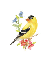 Load image into Gallery viewer, Yellow Finch Watercolor Note Card Set