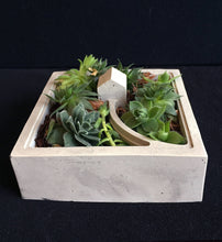 Load image into Gallery viewer, Handmade Concrete Architectural Square Planter