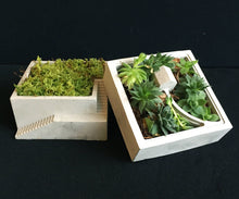 Load image into Gallery viewer, Handmade Concrete Architectural Square Planter