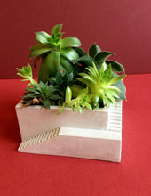 Load image into Gallery viewer, Concrete Stair Planter
