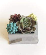 Load image into Gallery viewer, Concrete Stair Planter