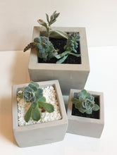 Load image into Gallery viewer, Square Concrete Planter Assortment