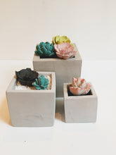 Load image into Gallery viewer, Square Concrete Planter Assortment