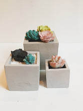 Load image into Gallery viewer, Square Concrete Planter 3 Inch (7.5 cm)