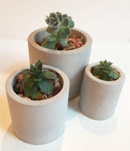 Load image into Gallery viewer, Cylinder Concrete Planter Assortment