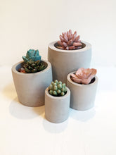 Load image into Gallery viewer, Cylinder Concrete Planter Assortment
