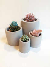 Load image into Gallery viewer, Cylinder Concrete Planter Assortment