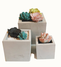 Load image into Gallery viewer, Square Concrete Planter Assortment