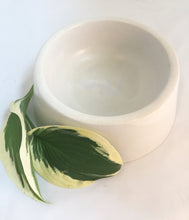Load image into Gallery viewer, Medium Concrete Dog Bowl, Pet Bowls
