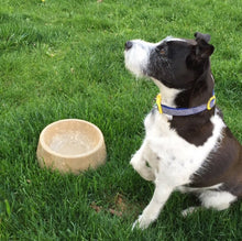 Load image into Gallery viewer, Medium Concrete Dog Bowl, Pet Bowls