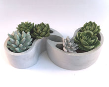 Load image into Gallery viewer, Yin Yang Concrete Planter, Concrete Planter