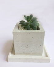 Load image into Gallery viewer, Square Concrete Planter