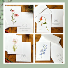 Load image into Gallery viewer, Coneflower Native Flower Watercolor Note Card Set