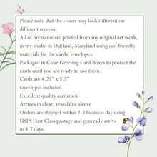 Load image into Gallery viewer, Carolina Allspice-Calycanthus floridus, Native Flower Watercolor Note Card Set