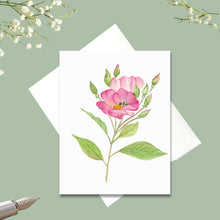 Load image into Gallery viewer, Climbing Prairie Rose, Native Flower Watercolor Note Cards
