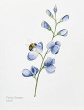 Load image into Gallery viewer, Blue Wild Indigo Native Flower Watercolor Note Card Set