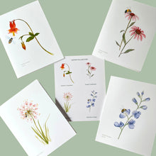 Load image into Gallery viewer, Native Flower Watercolor Note Card Assortment, Set of 8
