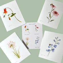 Load image into Gallery viewer, Native Flower Watercolor Note Card Assortment, Set of 8