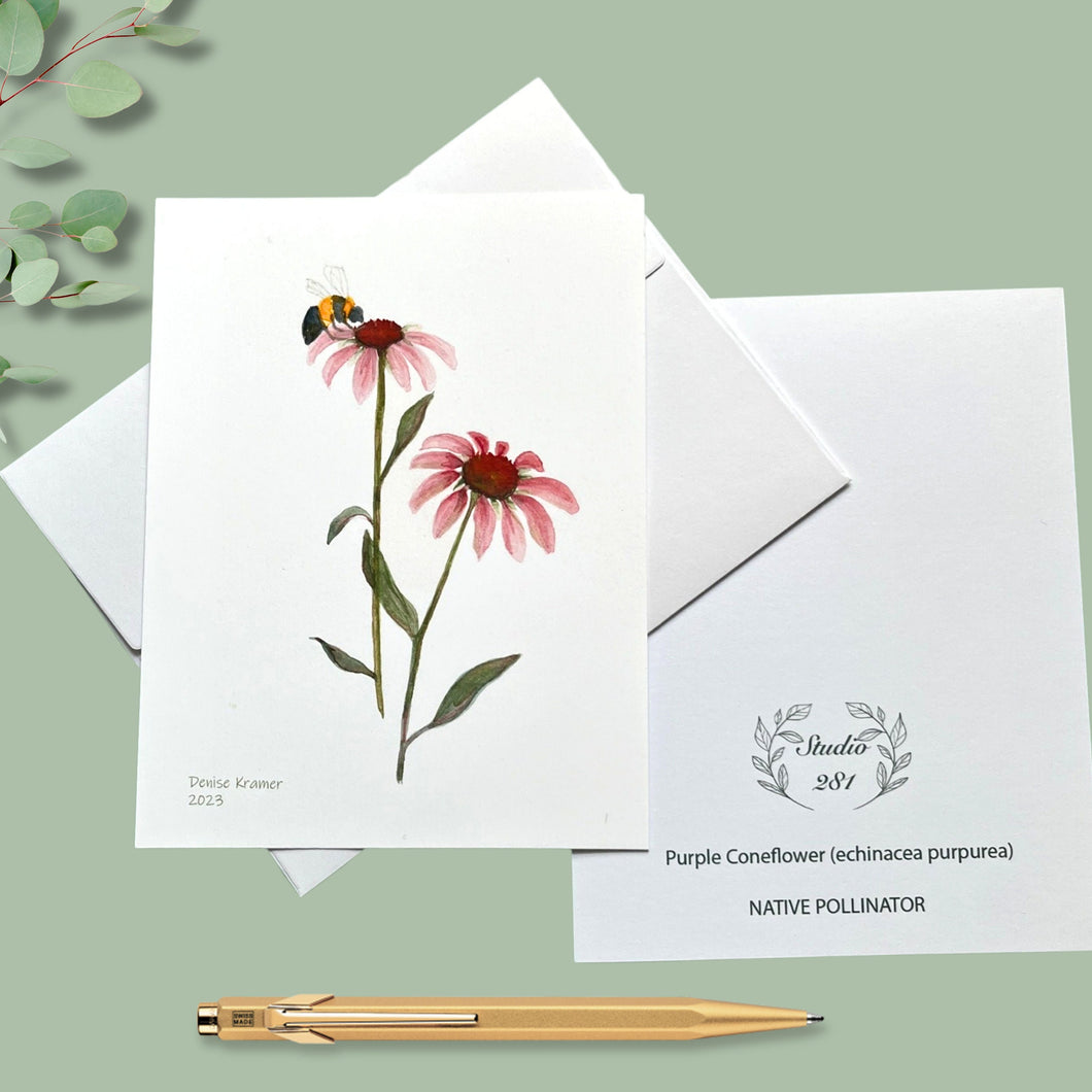 Coneflower Native Flower Watercolor Note Card Set