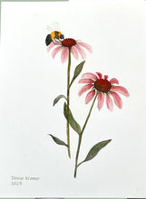 Load image into Gallery viewer, Coneflower Native Flower Watercolor Note Card Set