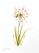 Load image into Gallery viewer, Nodding Onion Native Flower Watercolor Note Card Set
