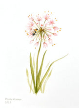 Load image into Gallery viewer, Nodding Onion Native Flower Watercolor Note Card Set