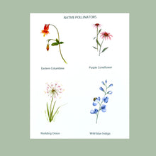 Load image into Gallery viewer, Columbine Native Flower Watercolor Note Cards