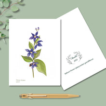 Load image into Gallery viewer, Ballon Flower Native Flower Watercolor Note Cards
