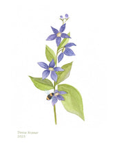 Load image into Gallery viewer, Ballon Flower Native Flower Watercolor Note Cards